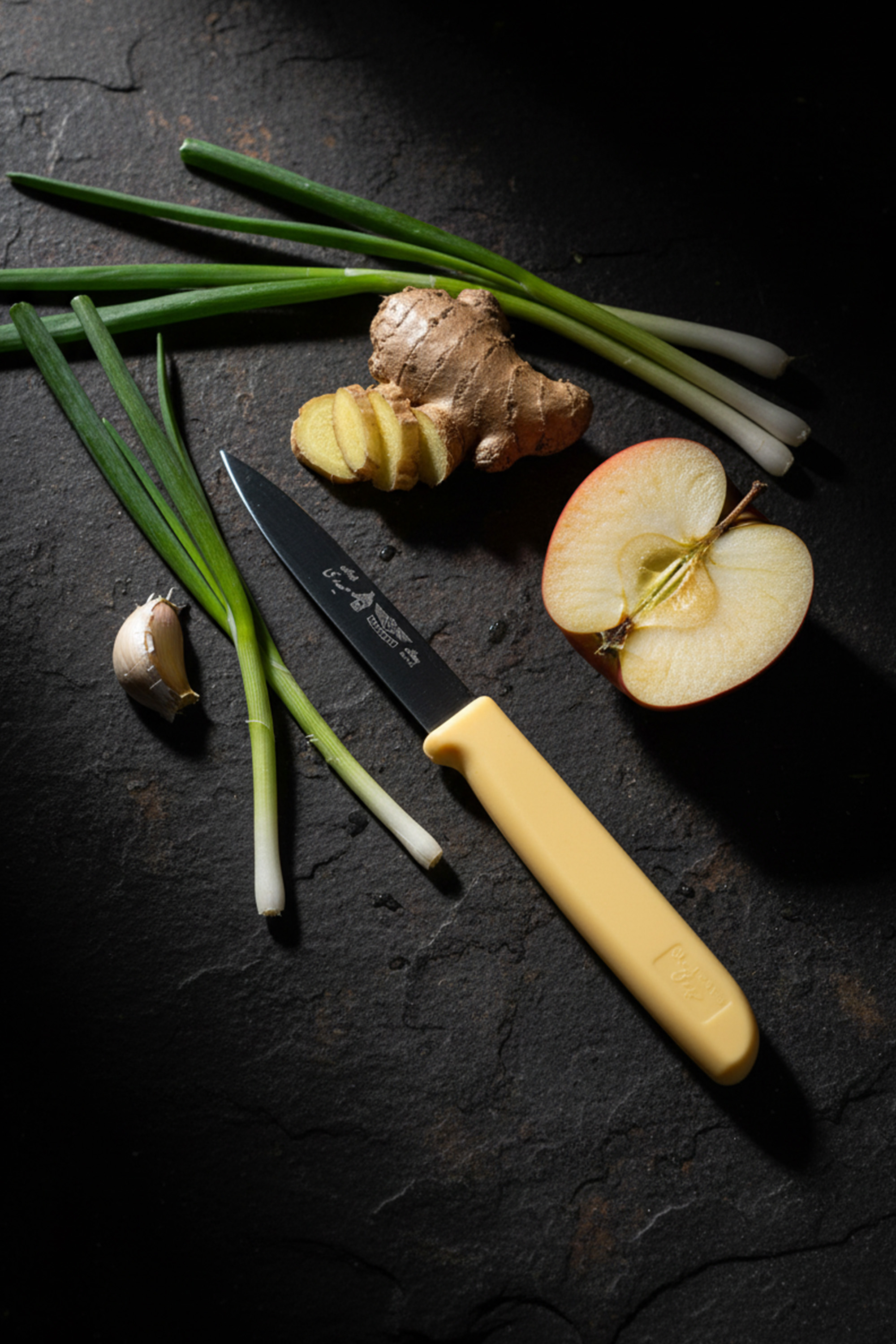 چاقو میوه‌خوری حیدری دسته پلاستیکی مدل allday – سایز کوچک - کد 420